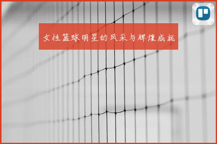 女性篮球明星的风采与辉煌成就